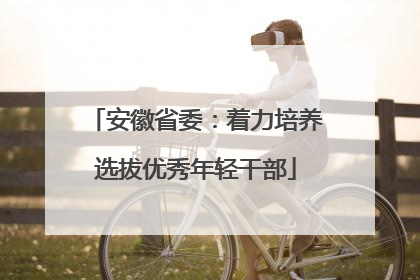 安徽省委：着力培养选拔优秀年轻干部
