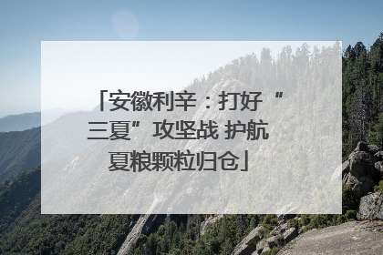 安徽利辛：打好“三夏”攻坚战 护航夏粮颗粒归仓