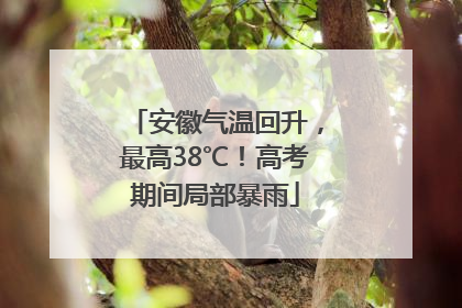 安徽气温回升，最高38℃！高考期间局部暴雨