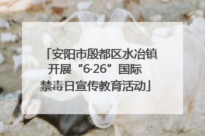 安阳市殷都区水冶镇开展“6·26”国际禁毒日宣传教育活动