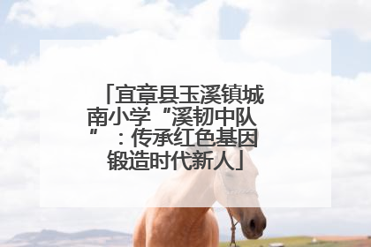 宜章县玉溪镇城南小学“溪韧中队”：传承红色基因 锻造时代新人
