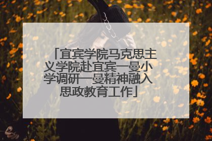 宜宾学院马克思主义学院赴宜宾一曼小学调研一曼精神融入思政教育工作