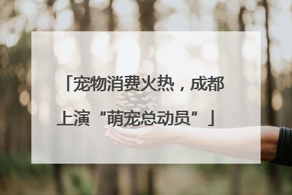 宠物消费火热，成都上演“萌宠总动员”