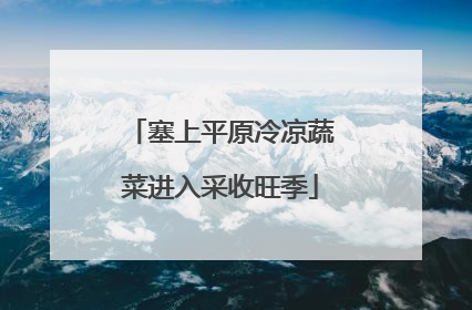 塞上平原冷凉蔬菜进入采收旺季