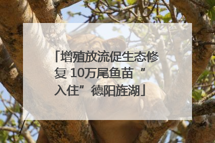 增殖放流促生态修复 10万尾鱼苗“入住”德阳旌湖