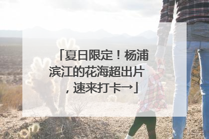 夏日限定！杨浦滨江的花海超出片，速来打卡→