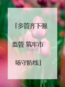 多管齐下强监管 筑牢市场守防线