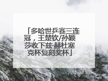 多哈世乒赛三连冠，王楚钦/孙颖莎收下兹·赫杜塞克杯复刻奖杯