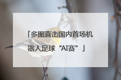多图直击国内首场机器人足球“AI赛”