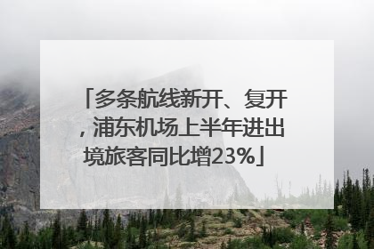 多条航线新开、复开，浦东机场上半年进出境旅客同比增23%