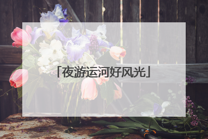 夜游运河好风光