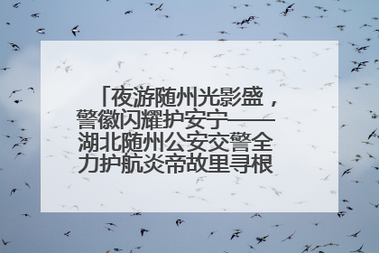 夜游随州光影盛，警徽闪耀护安宁——湖北随州公安交警全力护航炎帝故里寻根节夜游活动侧记