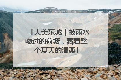 大美东城｜被雨水吻过的荷塘，藏着整个夏天的温柔