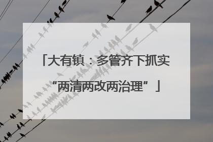 大有镇：多管齐下抓实“两清两改两治理”