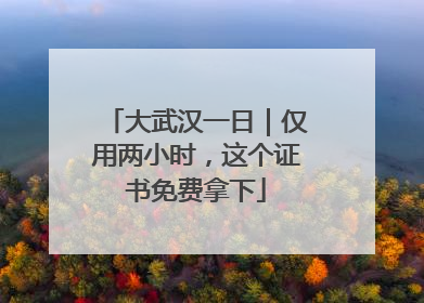 大武汉一日｜仅用两小时，这个证书免费拿下