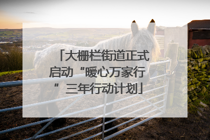 大栅栏街道正式启动“暖心万家行”三年行动计划