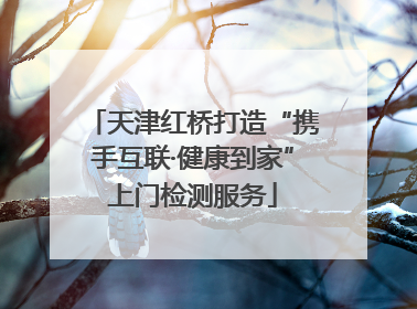天津红桥打造“携手互联·健康到家”上门检测服务