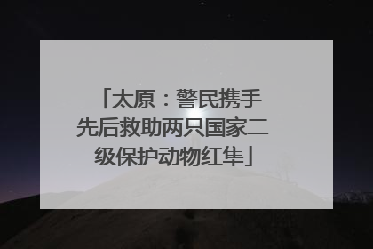 太原：警民携手 先后救助两只国家二级保护动物红隼