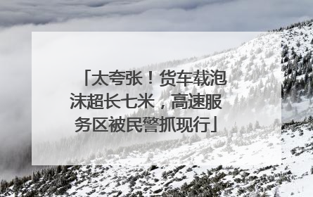 太夸张！货车载泡沫超长七米，高速服务区被民警抓现行