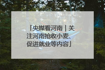 央媒看河南｜关注河南抢收小麦、促进就业等内容