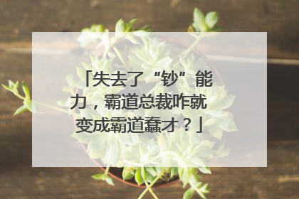 失去了“钞”能力，霸道总裁咋就变成霸道蠢才？