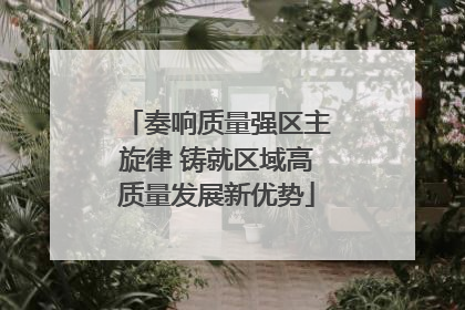 奏响质量强区主旋律 铸就区域高质量发展新优势