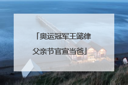 奥运冠军王懿律父亲节官宣当爸