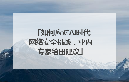 如何应对AI时代网络安全挑战，业内专家给出建议