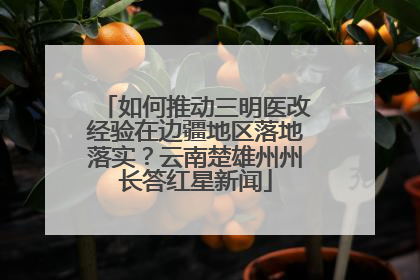 如何推动三明医改经验在边疆地区落地落实？云南楚雄州州长答红星新闻