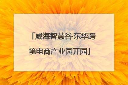 威海智慧谷·东华跨境电商产业园开园
