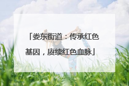 娄东街道：传承红色基因，赓续红色血脉