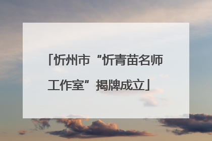 忻州市“忻青苗名师工作室”揭牌成立
