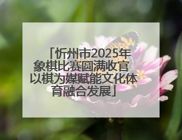 忻州市2025年象棋比赛圆满收官 以棋为媒赋能文化体育融合发展