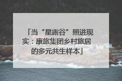当“星露谷”照进现实：康旅集团乡村旅居的多元共生样本