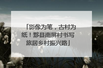 影像为笔，古村为纸！黟县南屏村书写旅居乡村振兴路