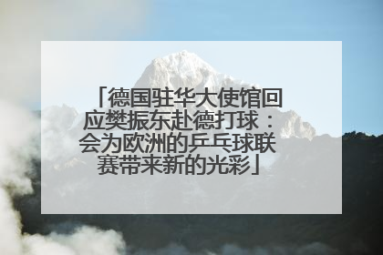 德国驻华大使馆回应樊振东赴德打球：会为欧洲的乒乓球联赛带来新的光彩