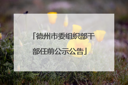 德州市委组织部干部任前公示公告