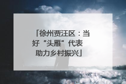 徐州贾汪区：当好“头雁”代表 助力乡村振兴