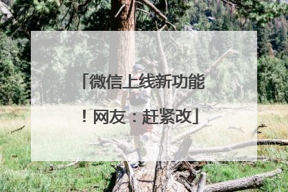 微信上线新功能！网友：赶紧改