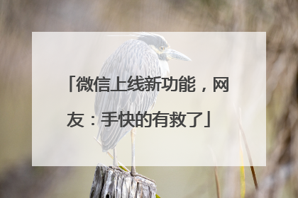微信上线新功能，网友：手快的有救了