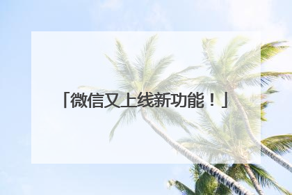 微信又上线新功能！
