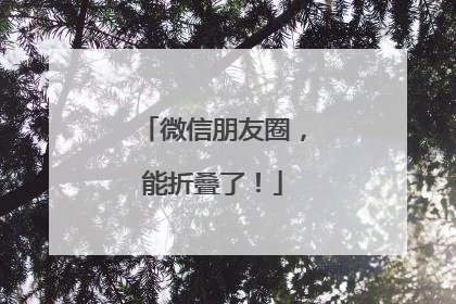 微信朋友圈，能折叠了！