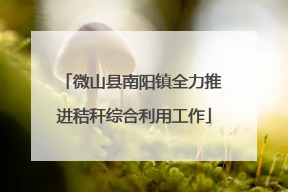 微山县南阳镇全力推进秸秆综合利用工作