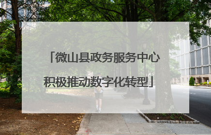 微山县政务服务中心积极推动数字化转型