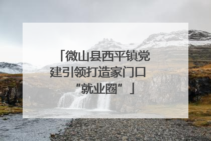 微山县西平镇党建引领打造家门口“就业圈”