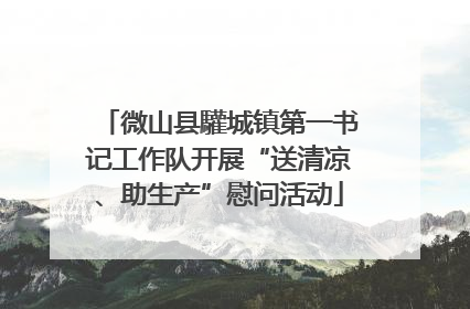 微山县驩城镇第一书记工作队开展“送清凉、助生产”慰问活动