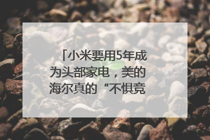 小米要用5年成为头部家电，美的海尔真的“不惧竞争”？｜热财经