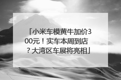 小米车模黄牛加价300元！实车本周到店？大湾区车展将亮相