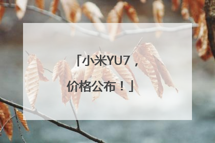 小米YU7，价格公布！