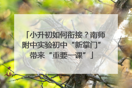 小升初如何衔接？南师附中实验初中“新掌门”带来“重要一课”